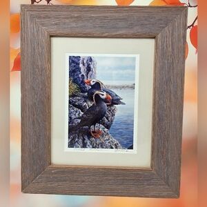 Ed Newbold Art Print Tuffed Puffins Bird On Rocks At Ocean Shoreline Colorful